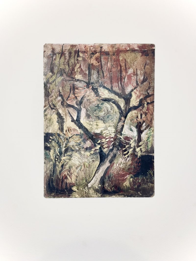 Moody Wooded Scene